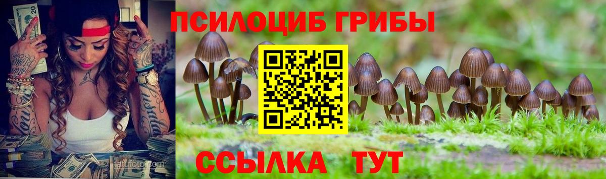 Ишимбай  Галлюциногенные грибы Magic Shrooms  Вход с VPN  Галлюциногенные грибы Psilocybine cubensis 